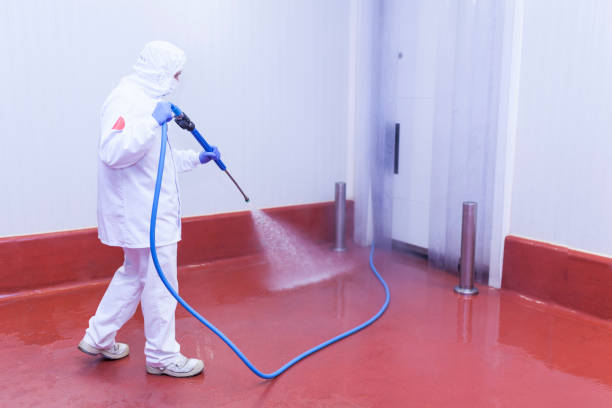  Ypsilanti, MI Pressure Washing Pros