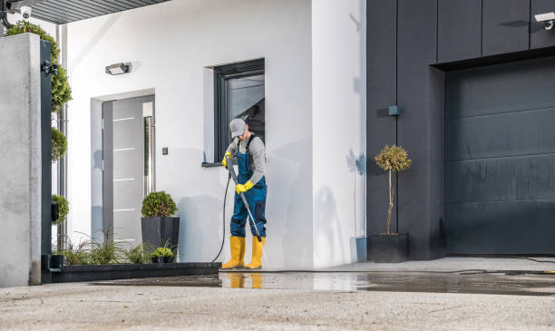 Best Roof Washing  in Ypsilanti, MI